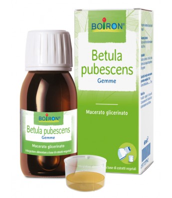 Betula pubescens macerato glicerico 60 ml int