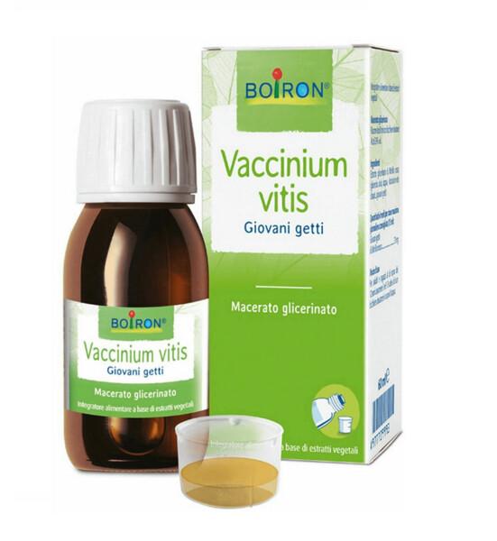 Boiron Vaccinium Vitis Idaea Macerato Glicerinato 60 ml