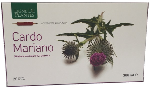 Cardo mariano biologico 20 ampolle bevibili da 15 ml