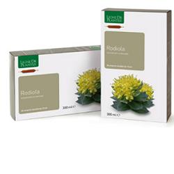 LIGNE RODIOLA 15AMP 15ML — confronto prezzi