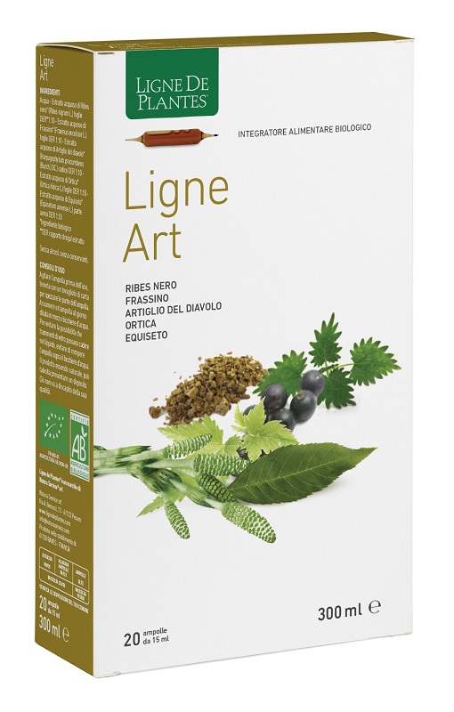 LIGNE ART BIO 20 AMPOLLE 15ML