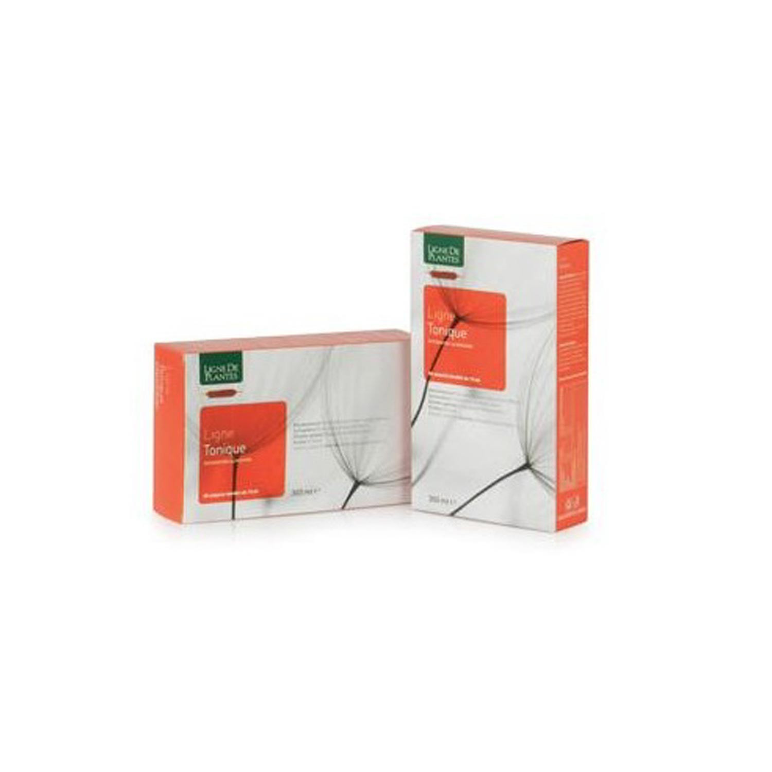 Ligne Tonique Integratore Energetico 20 Fiale da 15ml - Ligne de Plantes