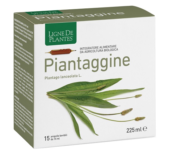 PIANTAGGINE 15AMP 15ML NATURA — confronto prezzi