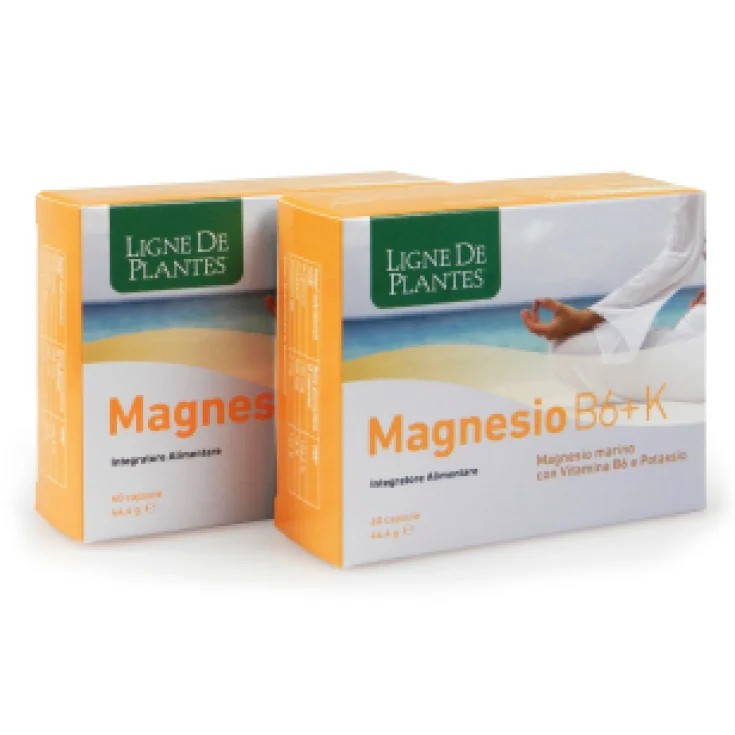Magnesio B6 + K Integratore Per La Funzione Cerebrale E Muscolare 60 Capsule — confronto prezzi