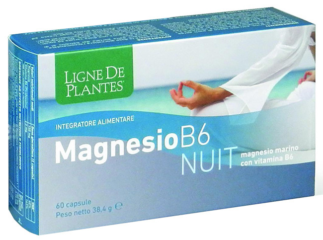 Magnesio b-6 nuit 60 capsule