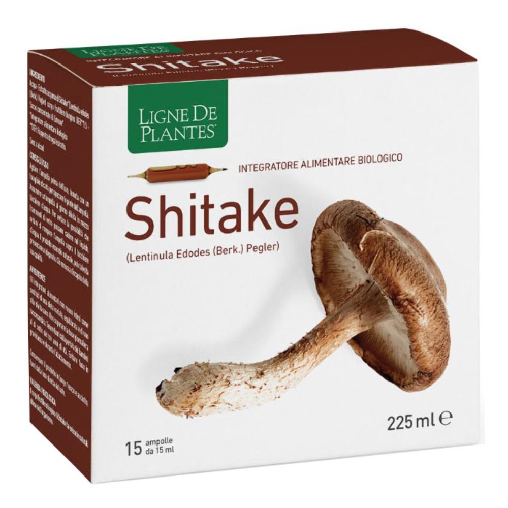 Ligne de plantes shitake bio 15 ampolle da 15 ml