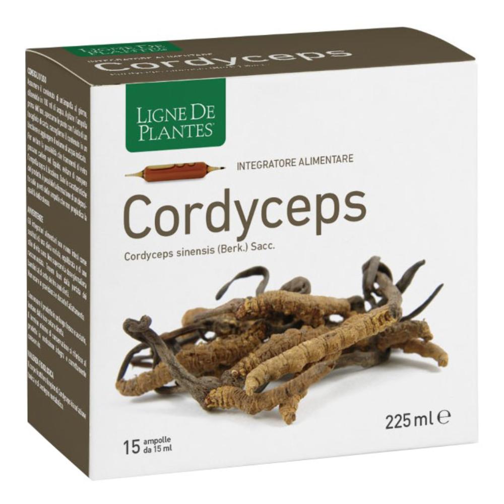 CORDYCEPS 15AB 15ML — confronto prezzi