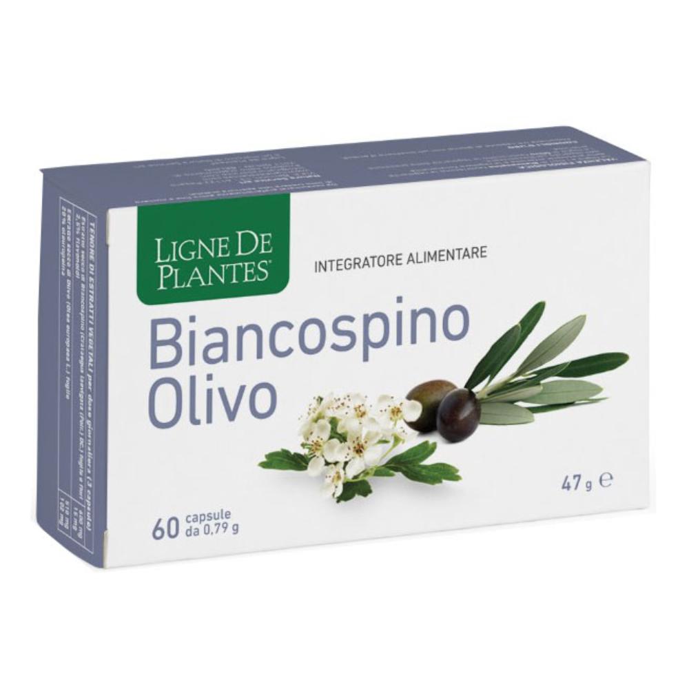 Ligne de plantes biancospino olivo 60 capsule