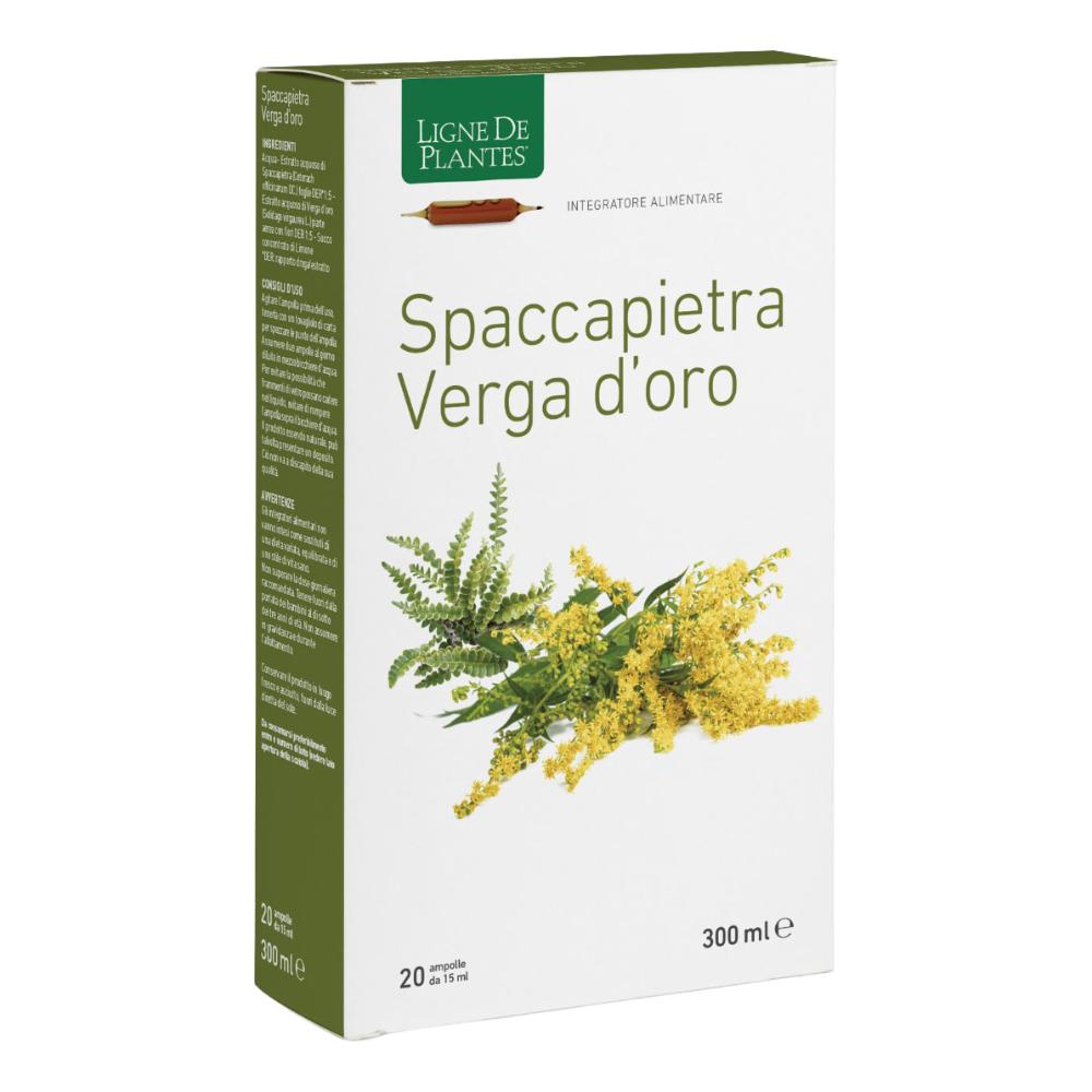 SPACCAPIETRA VERGA 20AMP
