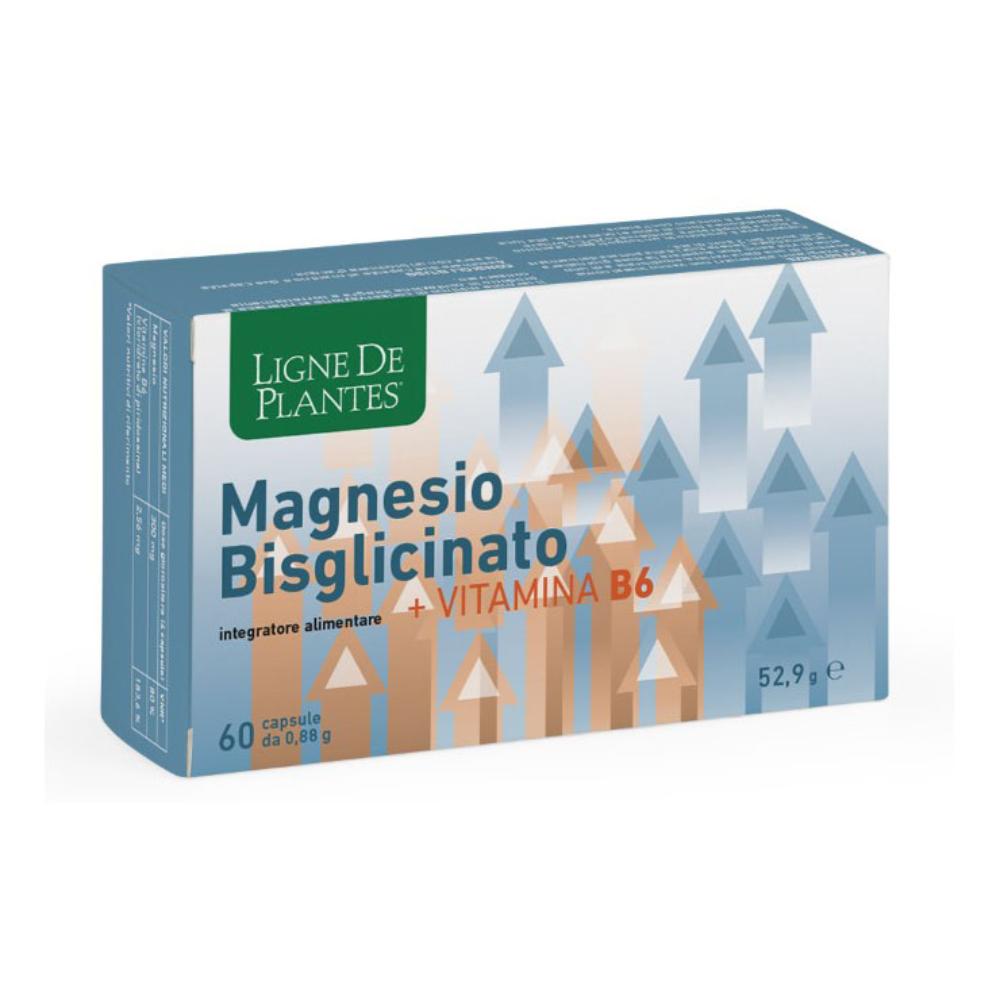 LIGNE MAGNESIO BIS+VITB6 60CPS