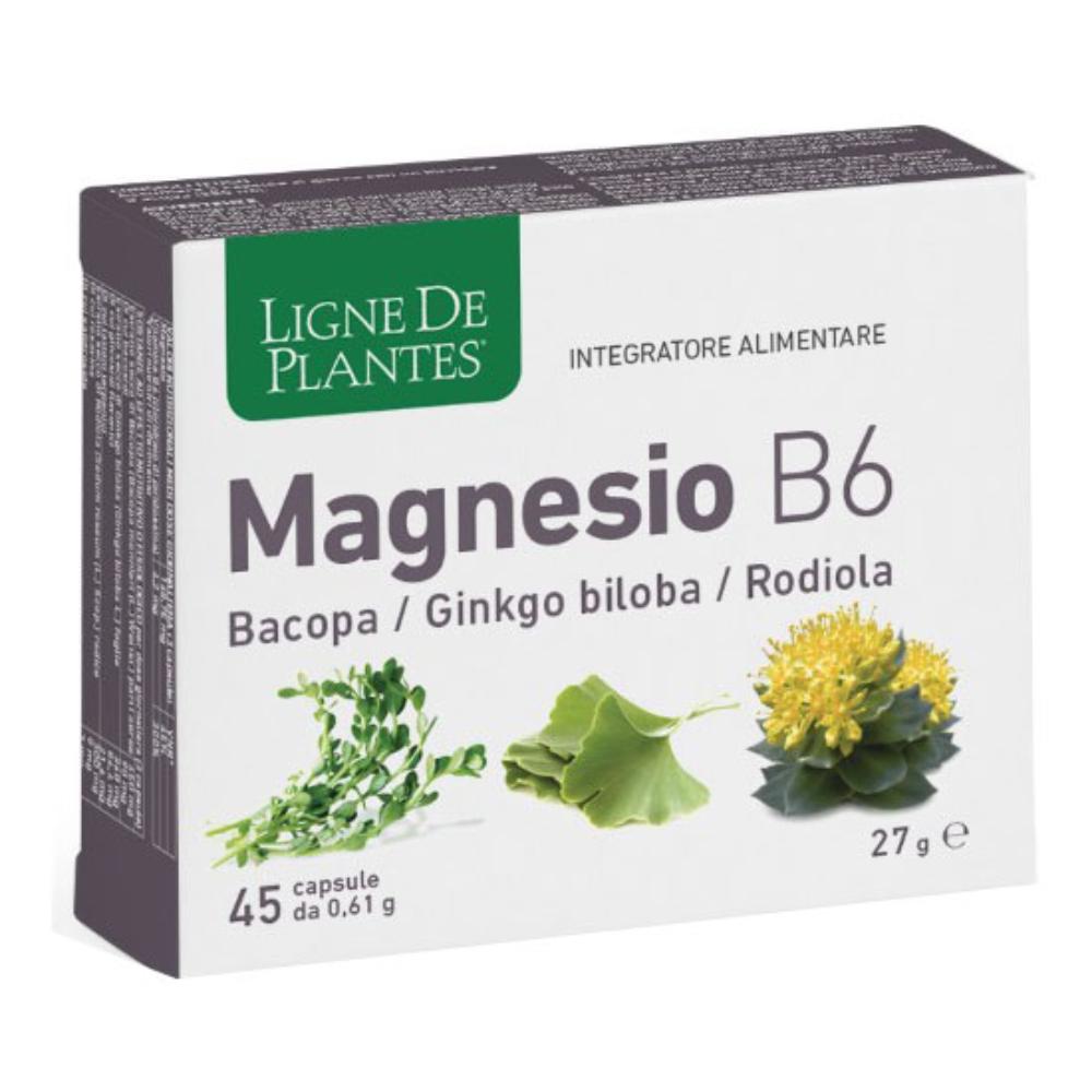LIGNE MAGNESIO B6 BACOPA 45CPS
