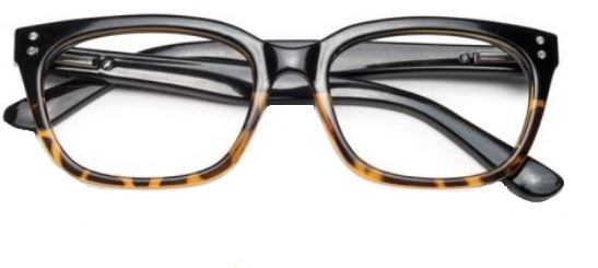 TWINS PLAT CAT MARR+1,00 — confronto prezzi