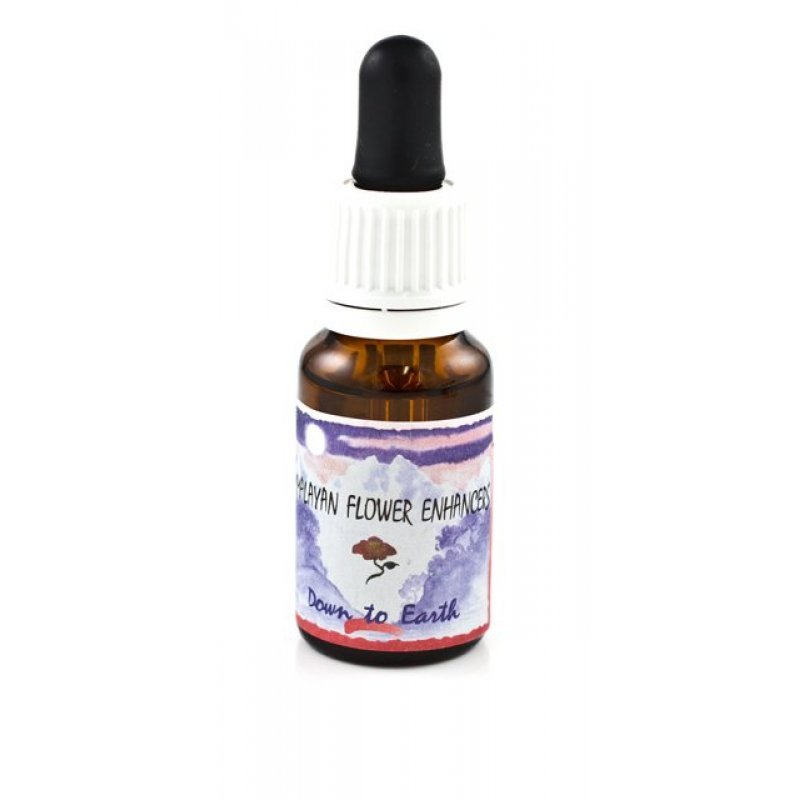 DOWN TO EARTH ESS 15ML NAT.SPI