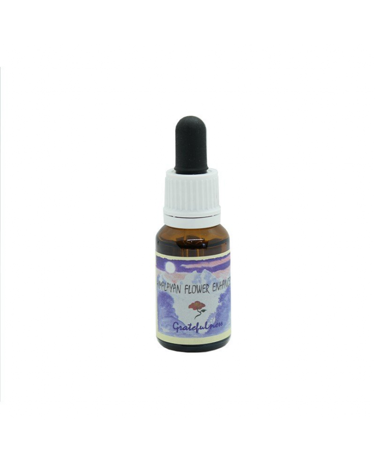 GRATEFULNESS ESSENZA 15ML — confronto prezzi