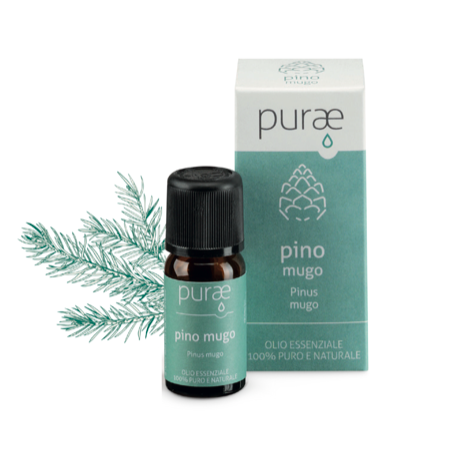 Purae Olio Essenziale - Pino Mugo 100% Puro e Naturale, 10ml
