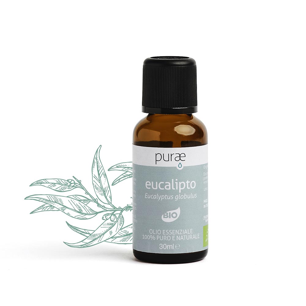Purae Olio Essenziale di Eucalipto Bio 100% Puro e Naturale Oversize, 30ml