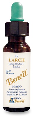 BENOIT FIORI DI BACH LARCH — confronto prezzi
