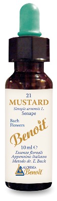 BENOIT FIORI DI BACH MUSTARD — confronto prezzi