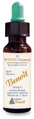 BENOIT FIORI DI BACH WHITE