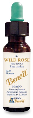 Wild Rose Fiori Di Bach Integratore Per L'equilibrio Emotivo Gocce Orali 10ml