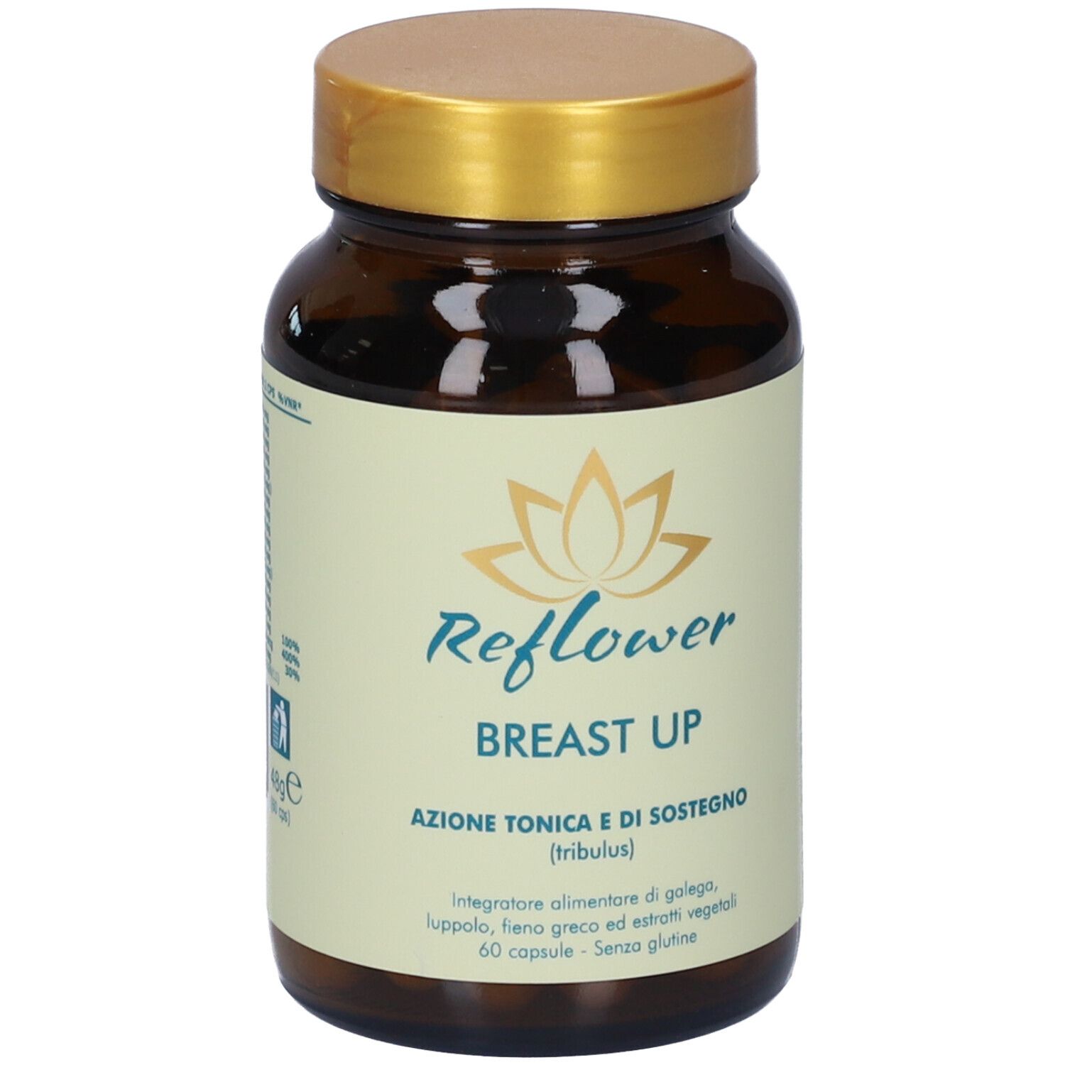 Reflower Breast Up Capsule 48 g