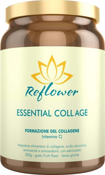 Reflower Essential Coll Age Polvere Gusto Cioccolato 300 g per soluzione orale