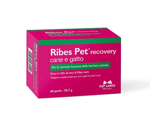 Nbn Lanes Ribes Pet Recovery Integratore Dermatite Cani E Gatti 60 Perle