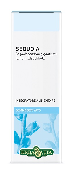 Sequoia Gemmoderivato 50ml