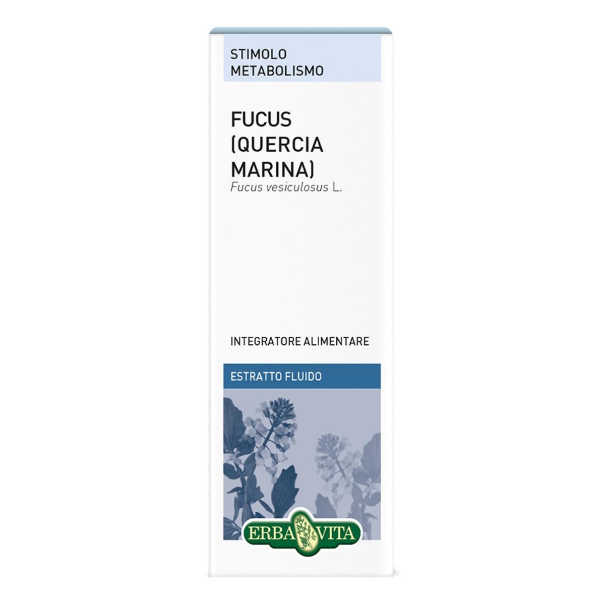 FUCUS QUERCIA MARINA ESTR FL50