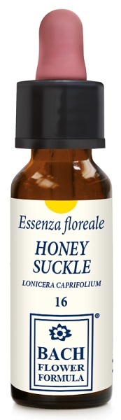 Erba Vita Bach Flower Formula - Honey Suckle Essenza Floreale N. 16 Lonicera caprifolium in Gocce, 10ml