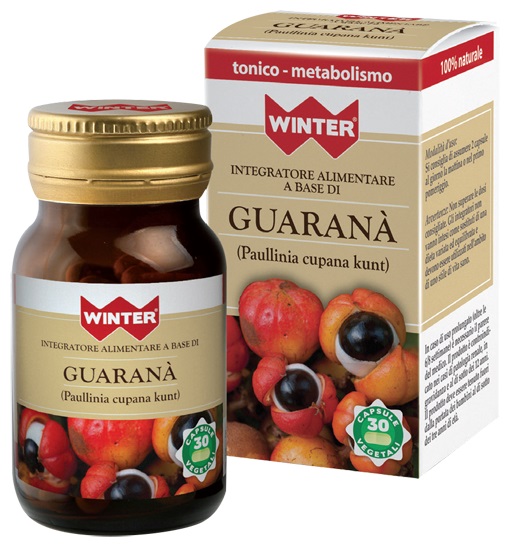 Winter Guarana Capsule 15,5 g
