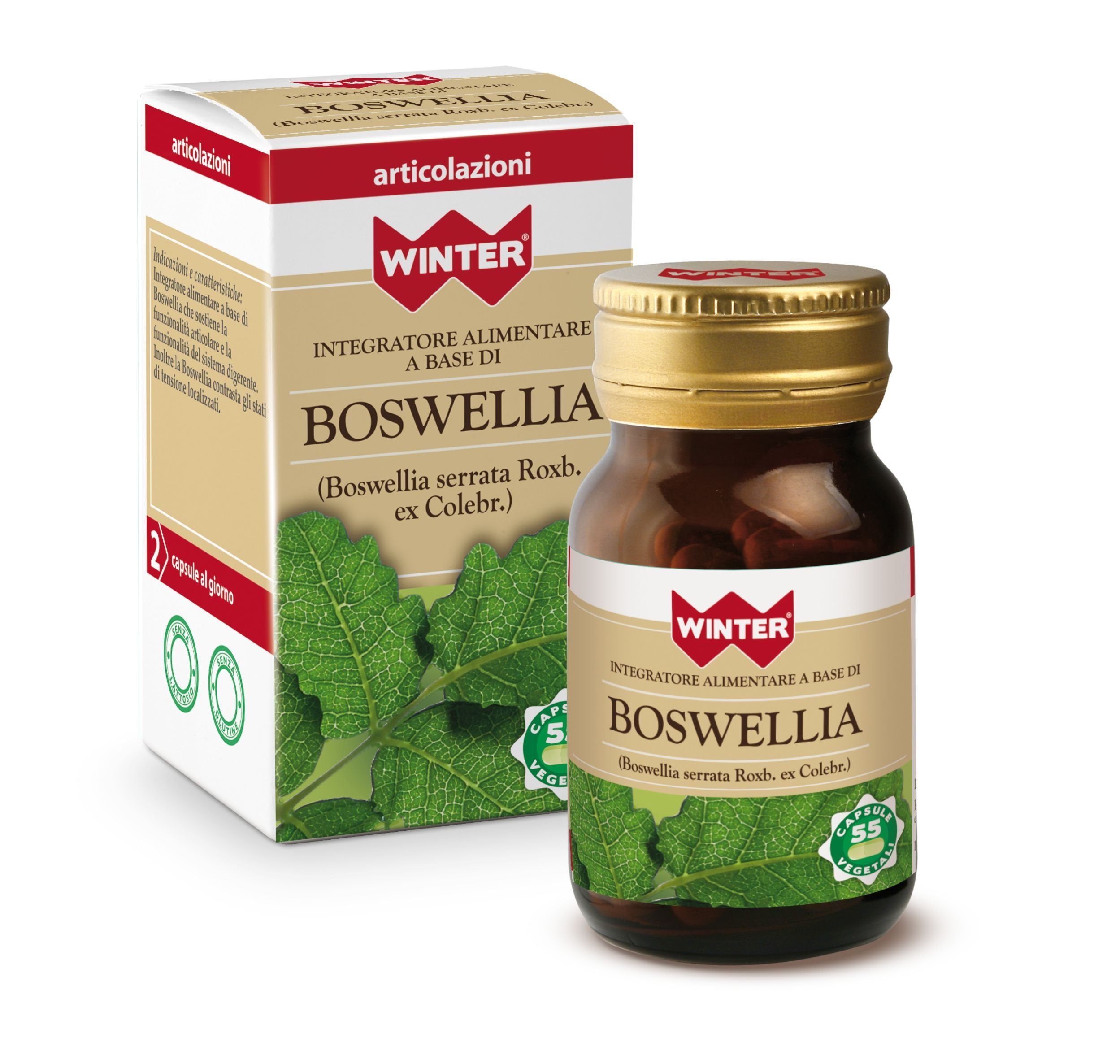 Winter Boswellia 55cps