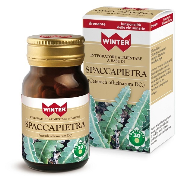 Gdp -general Dietet.pharma Spaccapietra 30 Compresse Winter