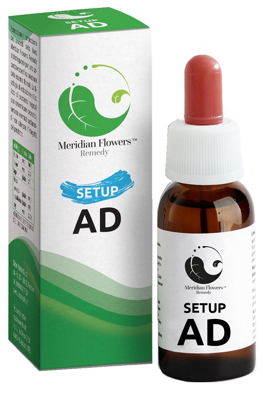 SETUP AD MERIDIAN FLOWERS REM — confronto prezzi
