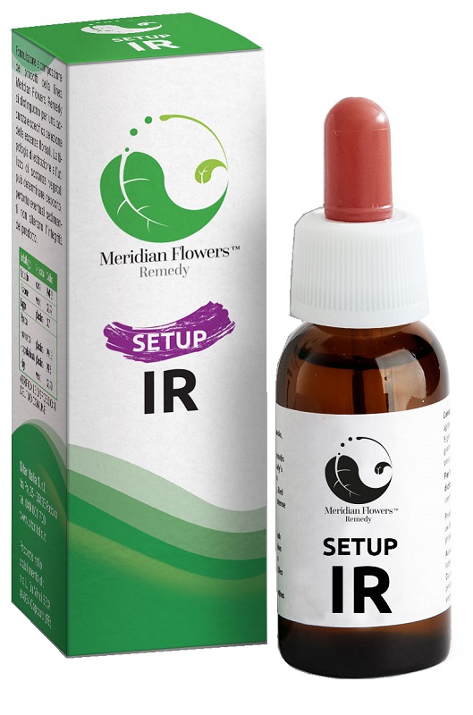 SETUP IR MERIDIAN FLOWERS REM — confronto prezzi