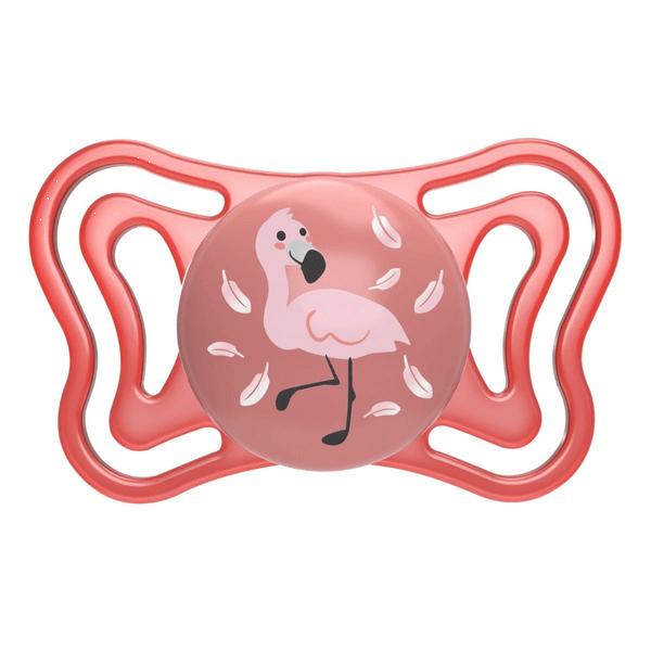Chicco Succhietto PhysioForma Light Bimba 6-16m — confronto prezzi