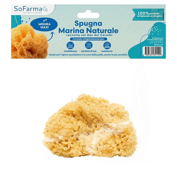 Spugna marina naturale maxi sofarmapiu' — confronto prezzi