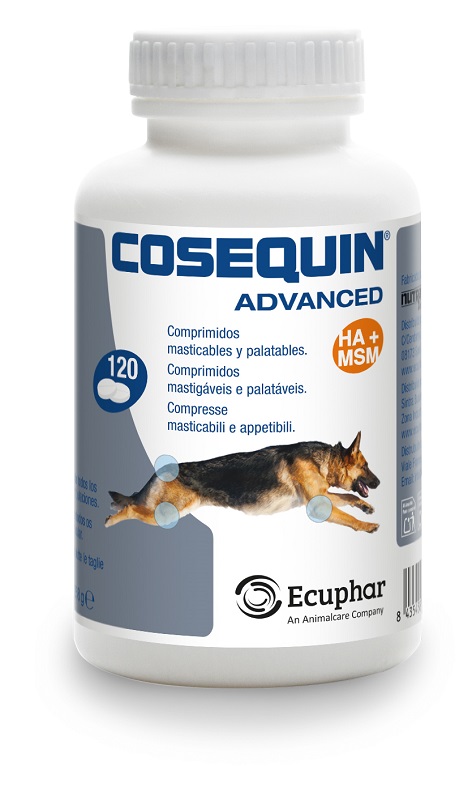 Cosequin advanced cane 120 compresse — confronto prezzi