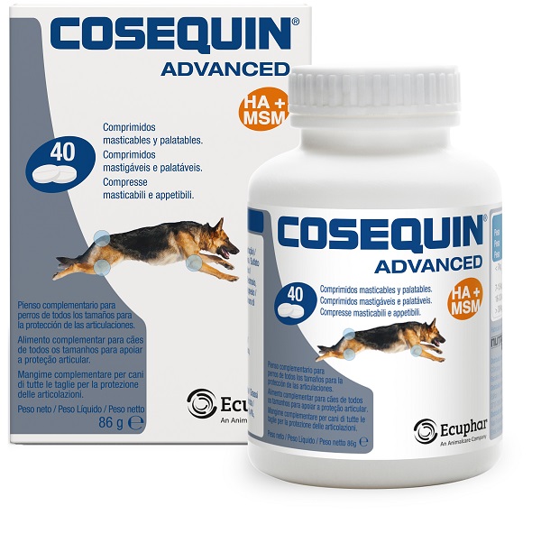 Cosequin gatti 15 capsule — confronto prezzi