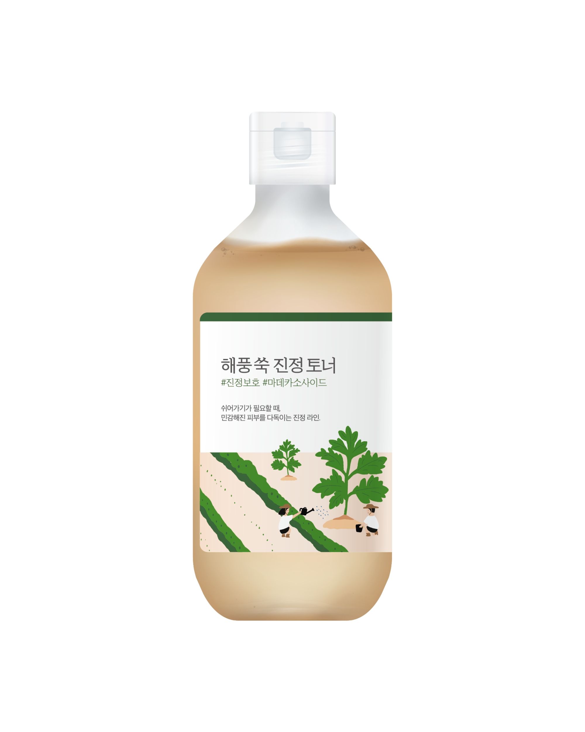 ROUND LAB Mugwort Calming Toner – Tonico Viso Lenitivo e Idratante con Artemisia 0,3 l Lozione viso