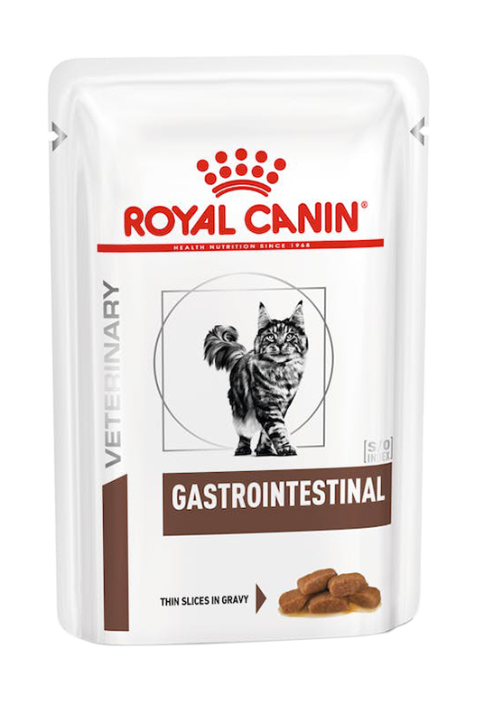Royal Canin Gatto Gastrointestinal Cf. (12X85) Gr