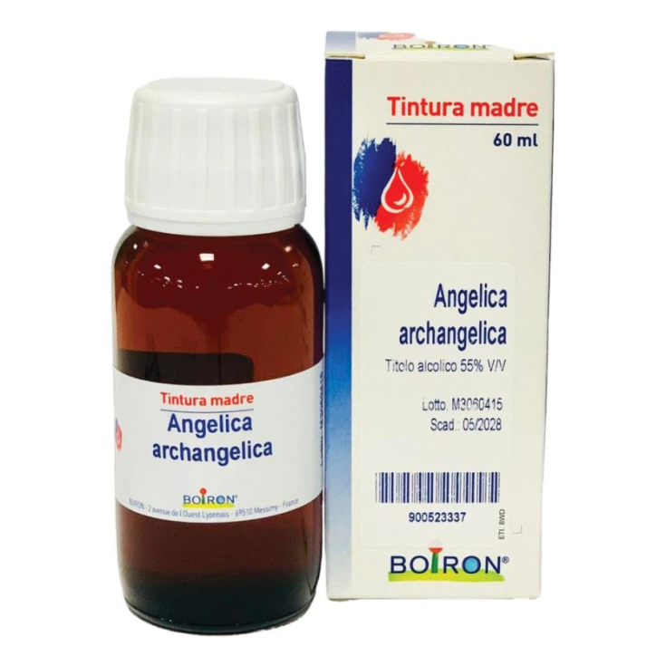 ANGELICA ARCANGELICA 60ML TM — confronto prezzi