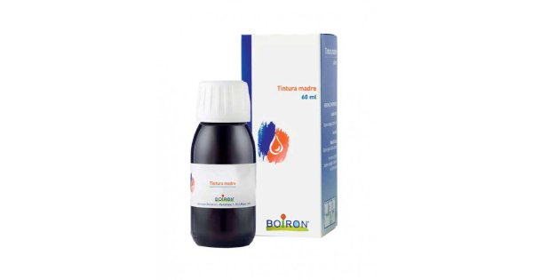 Lavandula Vera Tintura Madre 60ml
