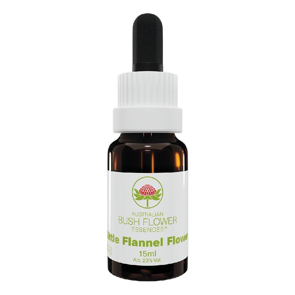 Little flannel flower 15 ml