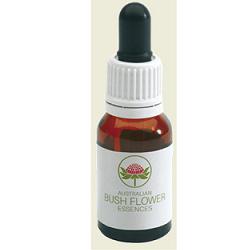 BUSH FLOWER STURT DESERT ROSE 15 — confronto prezzi