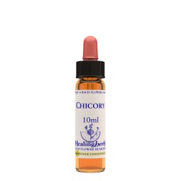 CHICORY ESS 10ML INGL HERBS — confronto prezzi