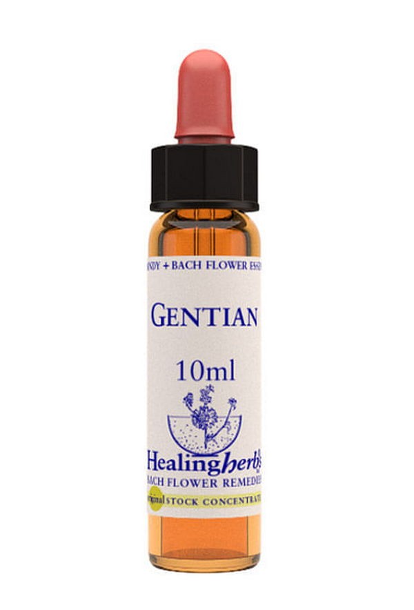 Gentian essenza 10 ml 1 pezzo — confronto prezzi