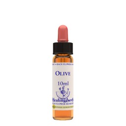 OLIVE ESS 10ML INGL HERBS — confronto prezzi