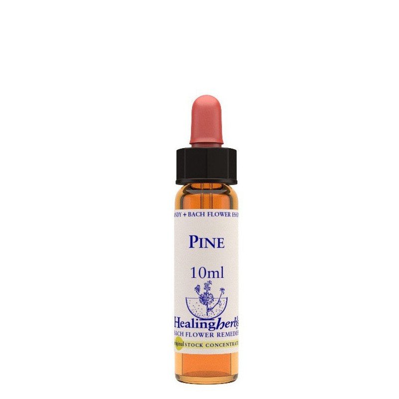 PINE ESS 10ML INGL B024 HERBS — confronto prezzi