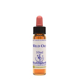 WILD OAT ESS 10ML INGL HERBS — confronto prezzi